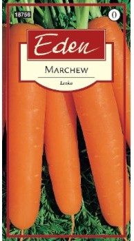 Eden MARCHEW LENKA 70151279