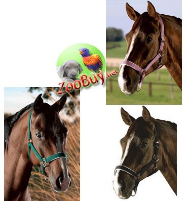 Pfiff Kunststoffhalfter, Unterlegt - Stufenlos Verstellbar, Blau, Pony Groxs, 005157-20-P2