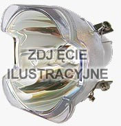 Phoenix Lampa do SHP88 200W DC SHP88 200W DC