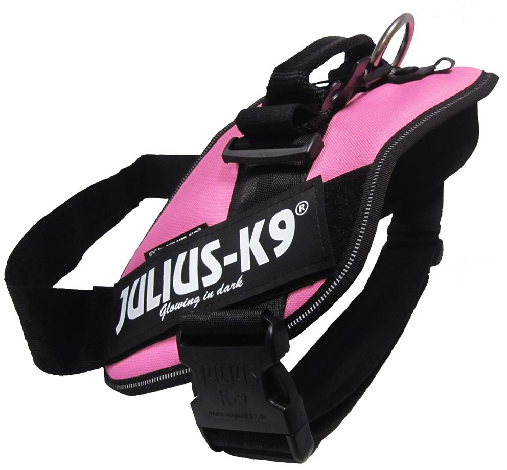 Julius-K9 Power Pink - Mini Mini
