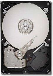 Seagate Barracuda 7200.12 ST3320413AS
