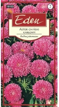 Eden ASTER KARŁOWY CHIŃSKI MIESZANKA 34020479