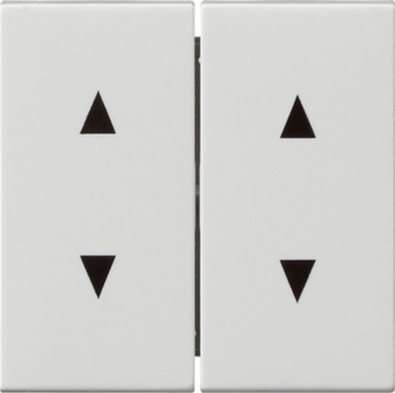 Gira 011 01135884 Klawisze System 55 z symbolami strzałek (kolor: biały z p