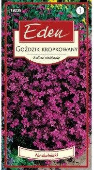 Eden GOŹDZIK KROPKOWANY 32628620