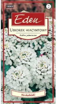 Eden UBIOREK HIACYNTOWY BIAŁY 33915539