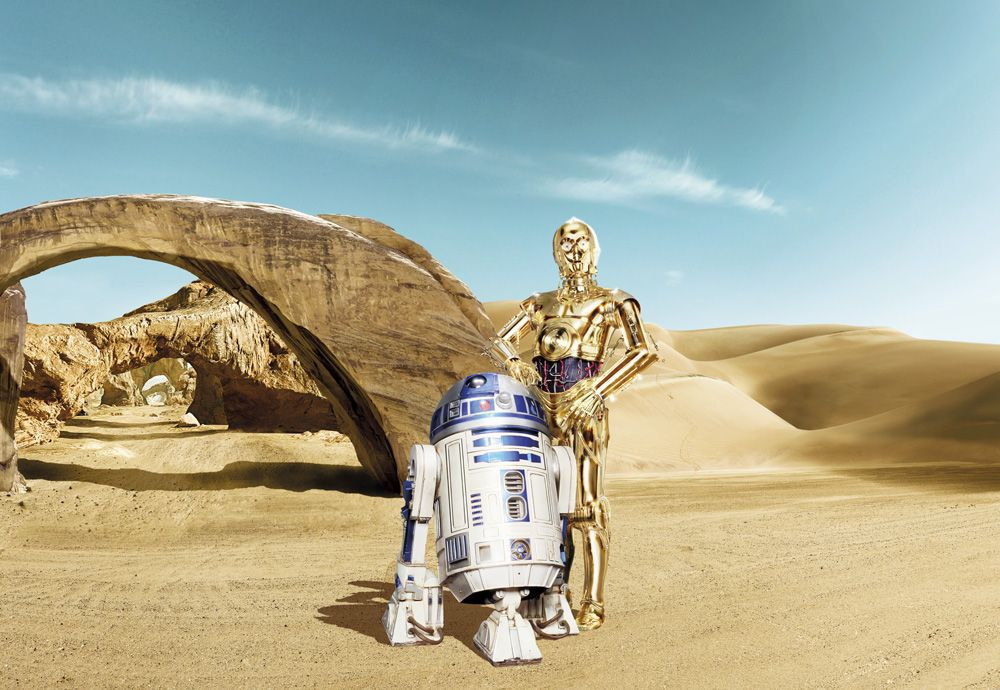 Komar Fototapeta Star Wars 8-484 Lost Droids