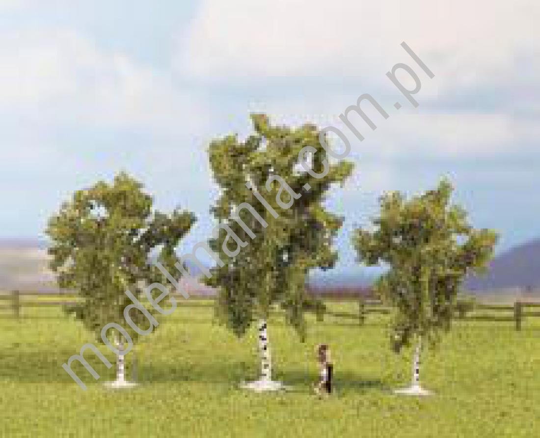 NOCH Brzoza 4,5cm / 3szt. 25520