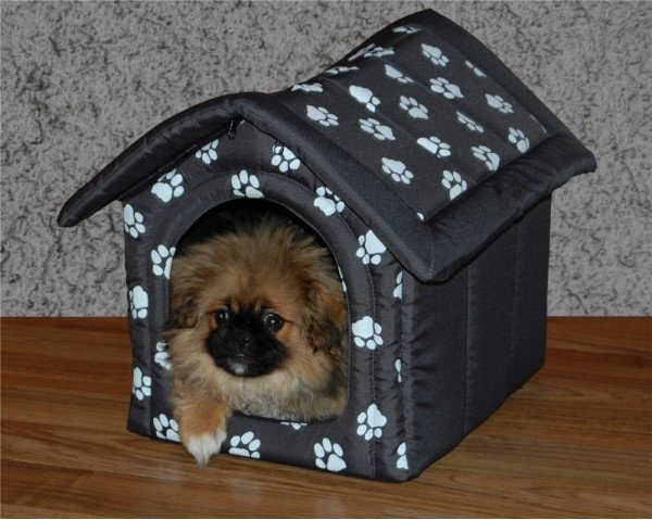 Hobbydog Buda - Szara w łapki - Rozmiar 2