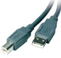 Vivanco USB 2.0 Cable 5.0 m wtyczka typ A Typ wtyczki B Szary