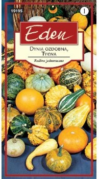 Eden DYNIA OZDOBNA TYKWA 32508178
