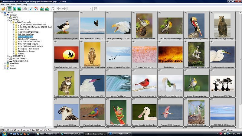 Breeze Browser Pro and Downloader Pro Bundle