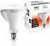 INQ LAMPA GRZEWCZA / E27 / 250W / ŻARÓWKA / PR04