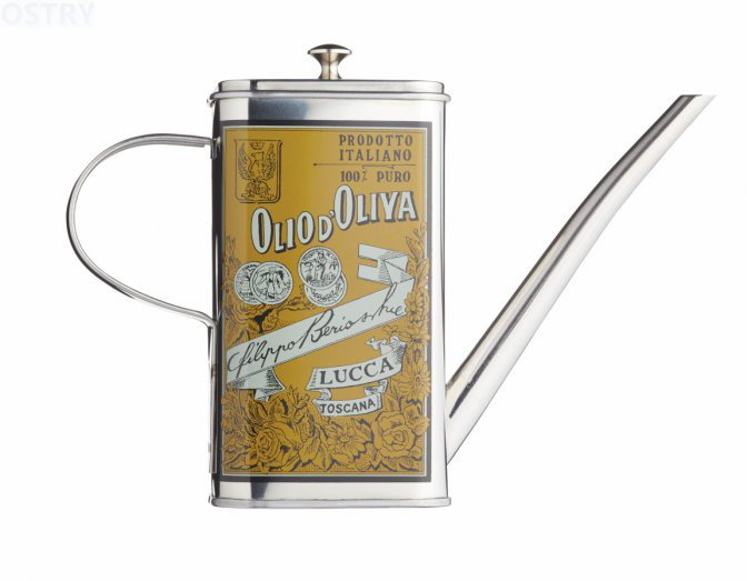 Kitchen Craft Dozownik do oliwy ITALIAN - stal nierdzewna ICOILCAN