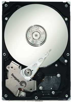 Seagate Barracuda ES ST3250820NS