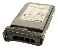 Dell Origin Storage 1000NLS/7-S6 Near Line 1TB Hot Swap dysk twardy (8,9 cm (3,5 cala), 7200 RPM) (DELL-1000NLS/7-S6)