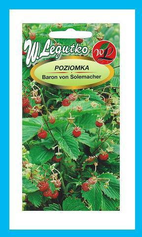 LEGUTKO POZIOMKA Baron von Solemacher 0,2g nasiona