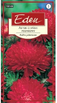 Eden ASTER CHIŃSKI PEONIOWY STANISŁAW 98178742