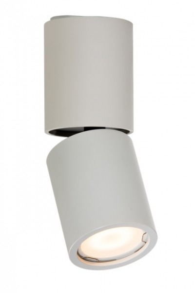 Light&More P 300 WH PLAFON REFLEKTOR NOWOCZESNA LAMPA SUFITOWA NATYNKOWA BIAŁY PAR16 GU10 LED (LM P 300 WH)