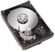 Seagate ST3200826ACE