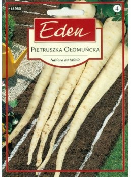 Eden PIETRUSZKA KORZENIOWA OŁOMUŃCKA NASIONA NA TAŚMIE 51115194