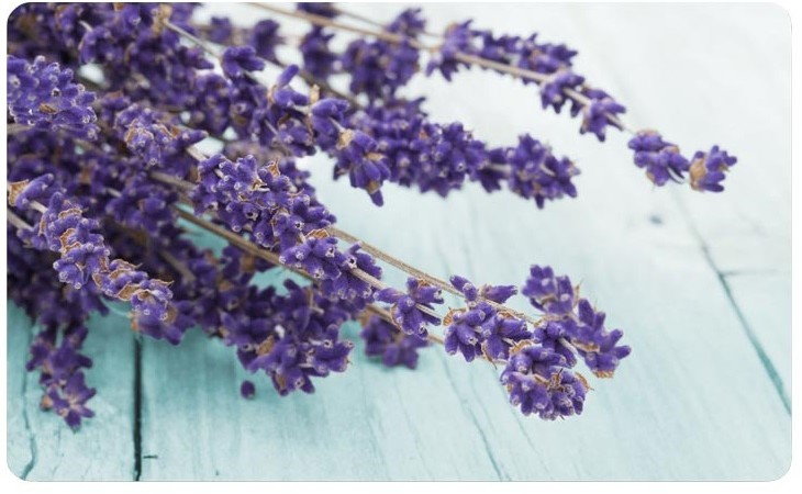 Emsa Deska do krojenia Lavender Classic 514539