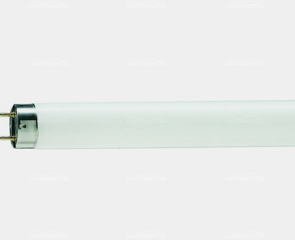 Philips TL-D 90 De Luxe 58W 940 - 150cm (MASTER) 8711500888693