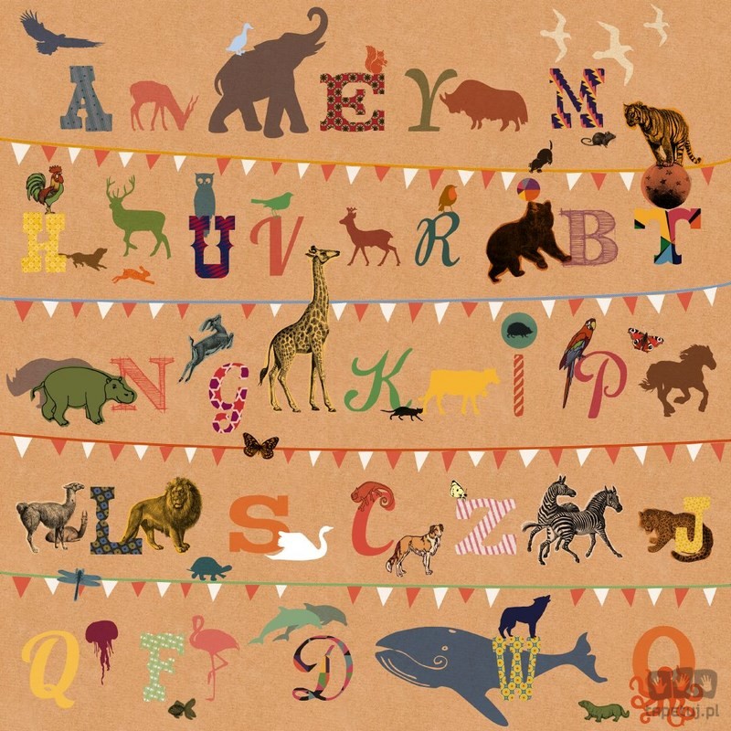 Komar Fototapeta T wie Tiger V5-782