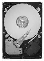 Seagate ST31000525SV