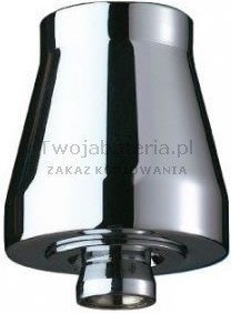 Delabie Gym głowica natryskowa 716000