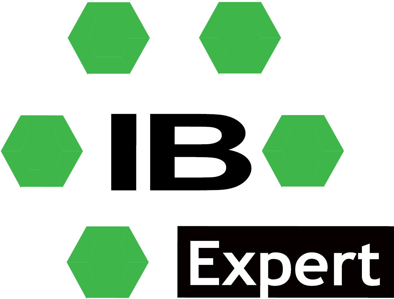 IBExpert Developer Studio (1 stan.) Single License