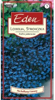 Eden LOBELIA BLUE CARPET NIEBIESKA 92601236