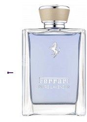 Ferrari Pure Lavender woda toaletowa 100ml