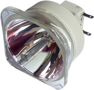 Philips Lampa UHP 245/170W 0.8 E19.4 UHP 245/170W 0.8 E19.4