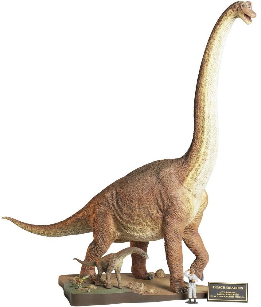 Фото - Збірна модель TAMIYA Dinozaur Brachiosaurus Diorama 60106 