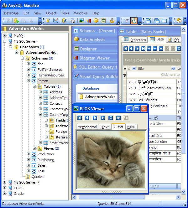 SQL Maestro Group AnySQL Maestro Site Non-commercial License