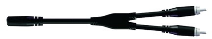 PROEL BULK525LU03 - kabel mini jack-rca