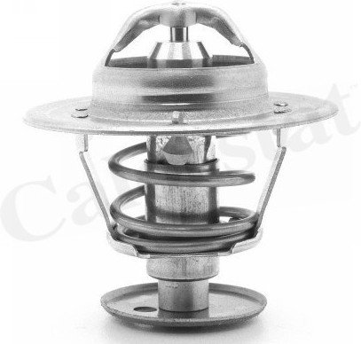 Vernet Termostat, żrodek chłodzący CALORSTAT by TH5981.89J