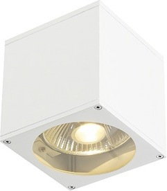 Spotline BIG THEO WALL OUT 229561 kinkiet 1x75W GU10/ES111