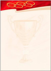 Argo Papier ozdobny SPORT 170g AR056