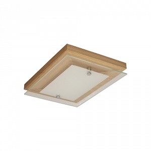 Spotlight plafon Finn 4022174