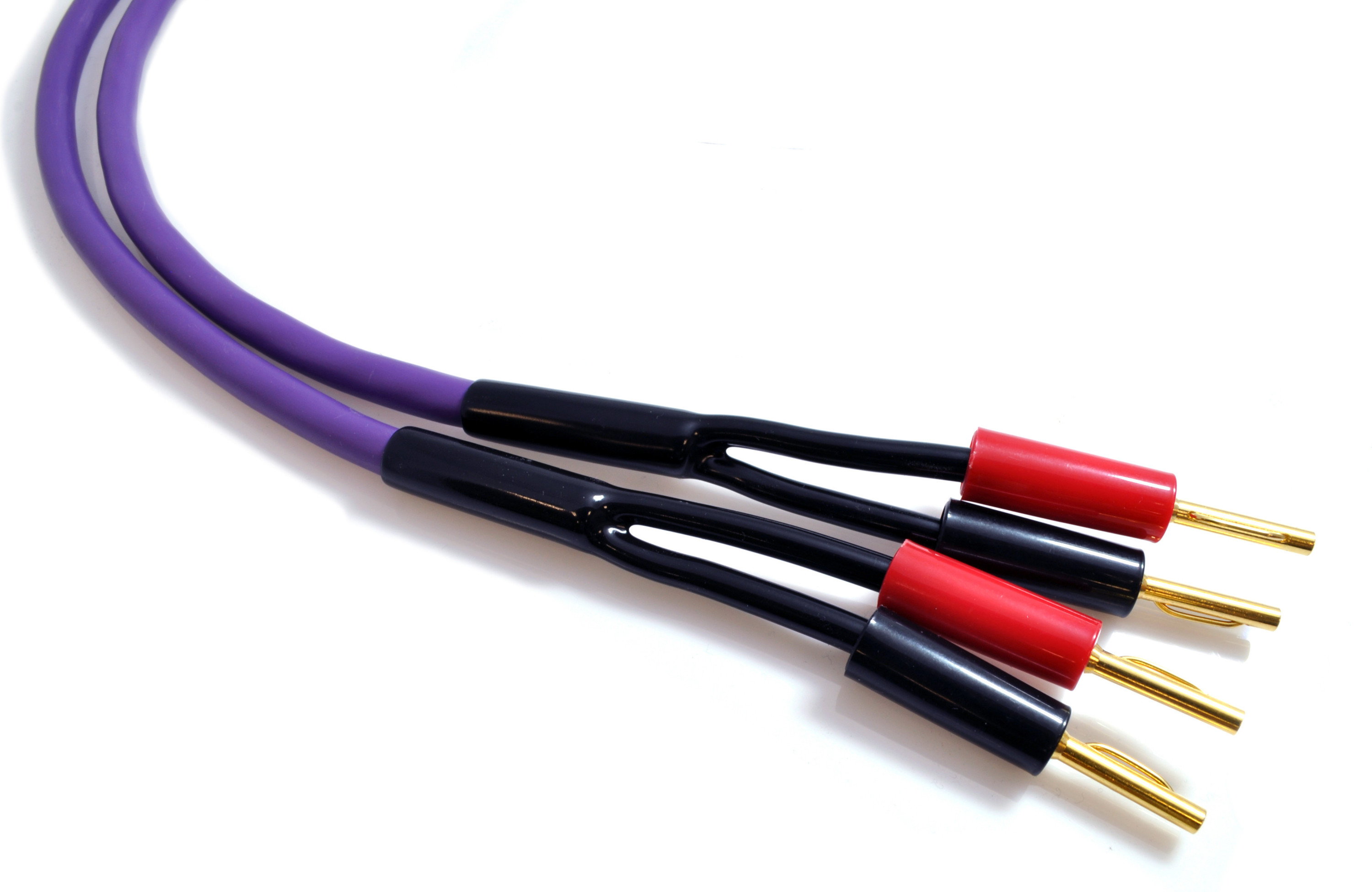 Melodika Kabel głośnikowy z wtykami 2x1,5 - 5m, Purple Rain, (MDSC1550)