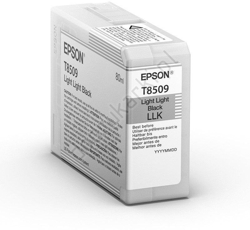 Epson T8509