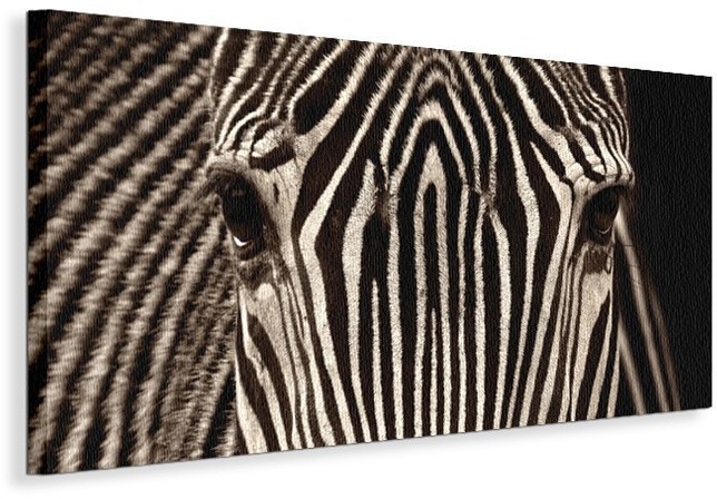 Pyramid Posters Zebra Grevy - Obraz na płótnie WDC40393