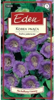 Eden KOBEA PNĄCA FIOLETOWA 92499573