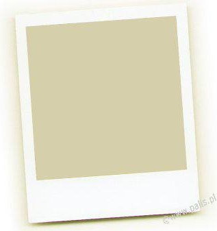 MANN Filtr powietrza C 2569