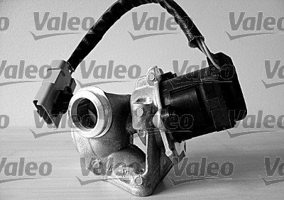 VALEO Zawór EGR 700412