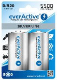 EverActive 2x akumulatorki R20/D Ni-MH 5500 mAh ready to use