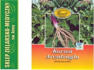 Kawon ARCYDZIĘGIEL - Korzeń arcydzięgla 50g