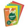 Adagio Papier Rey Ksero A4 5 x 100 kolory intensywne ADAGI080X909