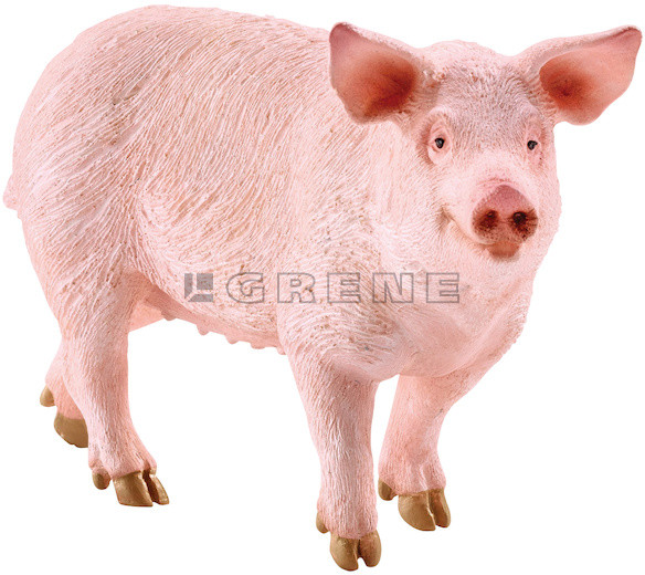 Schleich Świnia